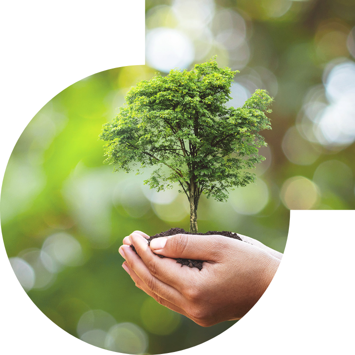 关怀人类、文化、环境与社会